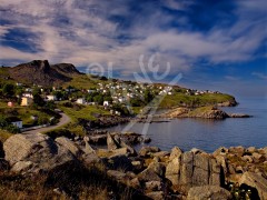 Upper Island Cove